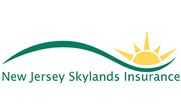 NJ Skylands / National General Payment Link